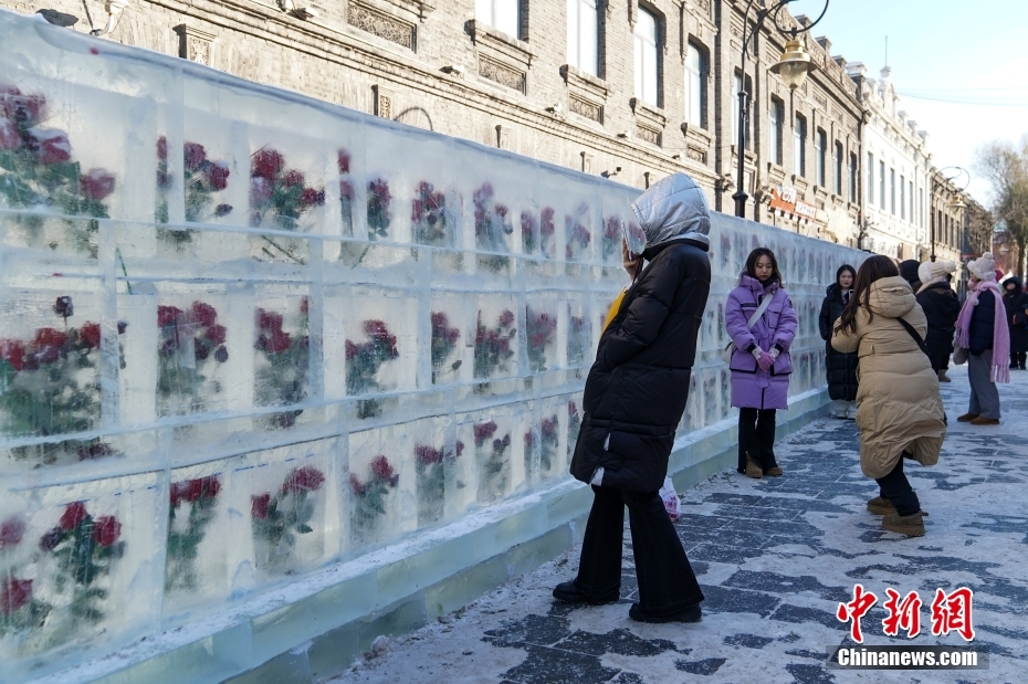 話題集める「氷漬けのバラの壁」　黒竜江省哈爾浜