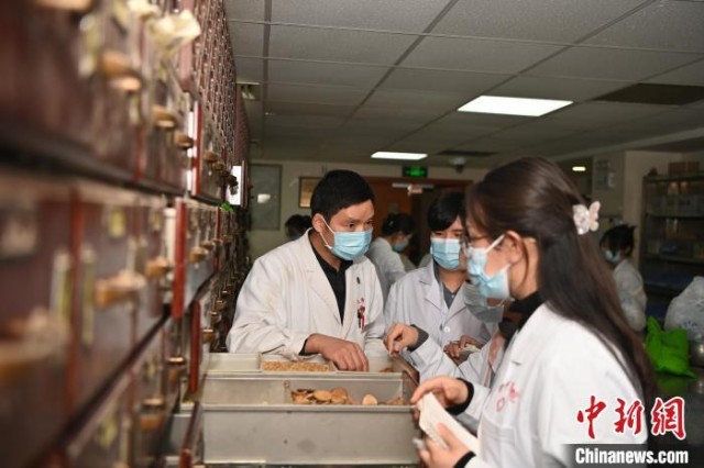 2024年1月25日、甘粛中医薬大学附属病院で、薬材の見分け方を学ぶタイの中医学医師の「学医団」（撮影 九美旦増）。
