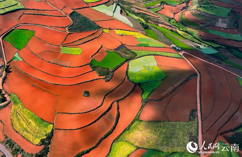 冬季景观鲜红的粘土像调色板云南省